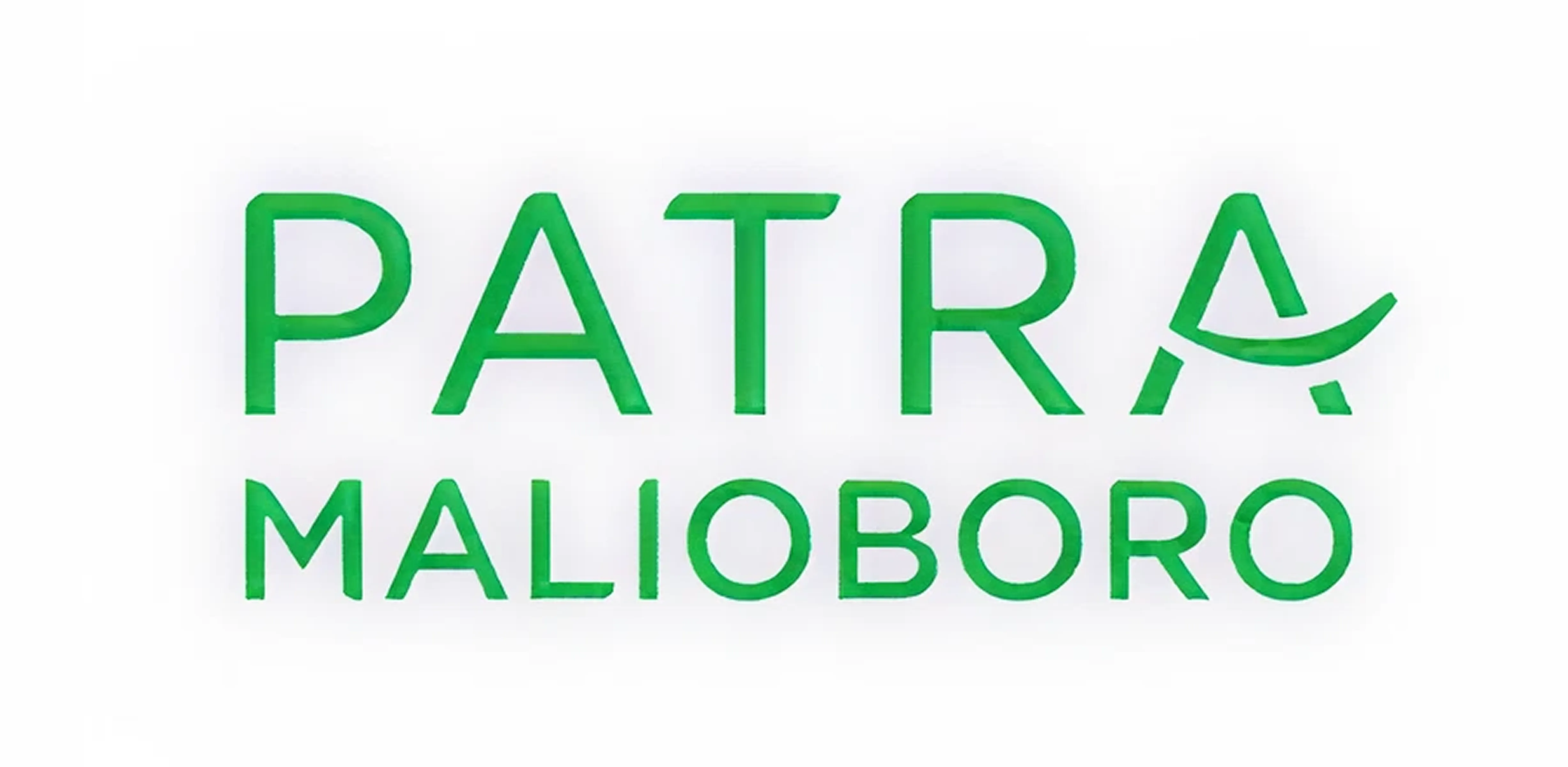 Partner 19