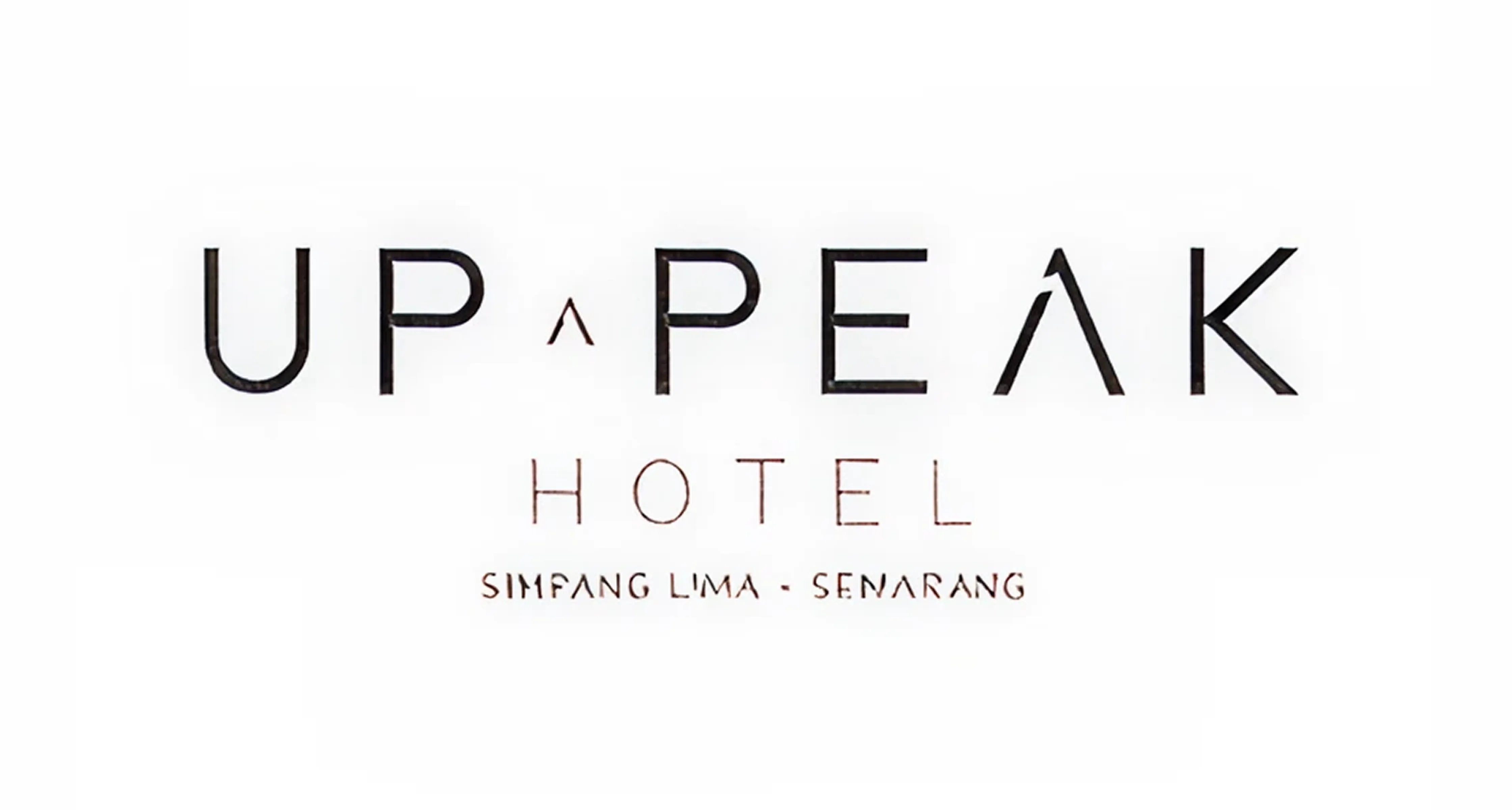 Partner 7
